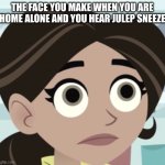 Gru Meme byt a girl | THE FACE YOU MAKE WHEN YOU ARE HOME ALONE AND YOU HEAR JULEP SNEEZE | image tagged in aviva | made w/ Imgflip meme maker