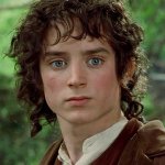 Frodo Baggins | The One Wiki to Rule Them All | Fandom