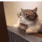 Yes, I'm working | Nobody:
When your boss is coming so you 
gotta pretend you're working | image tagged in gifs,funny | made w/ Imgflip video-to-gif maker