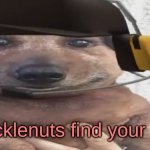 give them to him, he won't do anything :) | chucklenuts find your nuts | image tagged in chucklenuts | made w/ Imgflip meme maker
