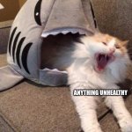 i mean its not wrong | HUMANS; ANYTHING UNHEALTHY | image tagged in shark eating cat | made w/ Imgflip meme maker