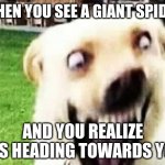 Me specifically | WHEN YOU SEE A GIANT SPIDER; AND YOU REALIZE IT'S HEADING TOWARDS YOU | image tagged in dog screamer lol boi | made w/ Imgflip meme maker