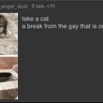 take a cat meme