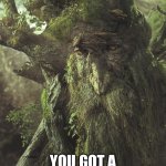 Tree Beard | YOU GOT A PROBLEM WITH THAT? | image tagged in tree beard | made w/ Imgflip meme maker