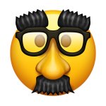 Disguised Face