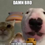 The council | DAMN BRO; U GOT THE WHOLE SQUAD LAUGHING | image tagged in the council | made w/ Imgflip meme maker