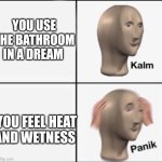 kalm panik | YOU USE THE BATHROOM IN A DREAM; YOU FEEL HEAT AND WETNESS | image tagged in kalm panik | made w/ Imgflip meme maker