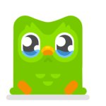 Duolingo Bird Sad