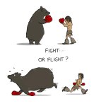 fight or flight bear? meme