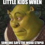 Shrek | LITTLE KIDS WHEN; SOMEONE SAYS THE WORD STUPID | image tagged in shrek | made w/ Imgflip meme maker