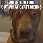 oh no | WHEN YOU FIND OUT WHAT GYATT MEANS | image tagged in oh no,my,dog has trauma,now | made w/ Imgflip meme maker