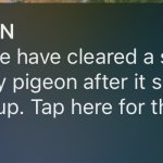 Spy Pidgeom