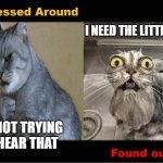 When you mess around and find out | I NEED THE LITTER BOX; I'M NOT TRYING TO HEAR THAT | image tagged in messed around found out,cats,do what you told me,messing around finding out,they told me but i didn't listen,hold my beer | made w/ Imgflip meme maker