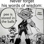 he do be spitting facts tho. | Never forget his words of wisdom: | image tagged in pee is stored in the balls,memes,funny,words of wisdom,splatoon,oh wow are you actually reading these tags | made w/ Imgflip meme maker