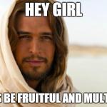 Pick Up Artist Jesus | HEY GIRL LET'S BE FRUITFUL AND MULTIPLY | image tagged in memes,jesus,bible,religion | made w/ Imgflip meme maker