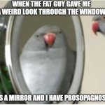 prosopagnosia | WHEN THE FAT GUY GAVE ME A WEIRD LOOK THROUGH THE WINDOW; (ITS A MIRROR AND I HAVE PROSOPAGNOSIA) | image tagged in parrot and mirror,psychology | made w/ Imgflip meme maker