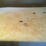 Stained Mattress  Gross Bed