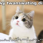 if u know mowse code can u twanswate dis stuff? | twy twanswating dis! - .... . .-. . / .. ... / -. --- / ... .- -. .. - -.-- | image tagged in cute cat,morse code,cute,cat,message,innocent | made w/ Imgflip meme maker