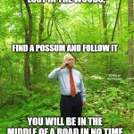 Lost in the Woods | IF YOU FIND YOURSELF LOST IN THE WOODS, FIND A POSSUM AND FOLLOW IT; MEMEs by Dan Campbell; YOU WILL BE IN THE MIDDLE OF A ROAD IN NO TIME | image tagged in lost in the woods | made w/ Imgflip meme maker