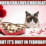 Why only February? | WHEN YOU LOVE CHOCOLATE; BUT IT'S ONLY IN FEBRUARY | image tagged in grumpy valentine | made w/ Imgflip meme maker