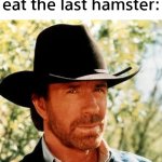 yum | Me looking at the pet store owner right before I eat the last hamster: | image tagged in memes,chuck norris,funny,unnecessary tags | made w/ Imgflip meme maker