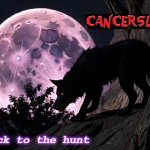 The Hunt | Back to the hunt | image tagged in the hunt,cancerslug,stormofhatredredux,moonlightmartyrs | made w/ Imgflip meme maker