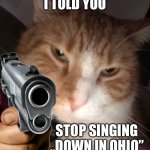 Cat with gun | I TOLD YOU; STOP SINGING „DOWN IN OHIO” | image tagged in cat with gun,stop,oh wow are you actually reading these tags,never gonna give you up,shooting,dies from cringe | made w/ Imgflip meme maker