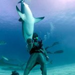 Diver holding shark