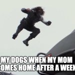 Jumping bucky | MY DOGS WHEN MY MOM COMES HOME AFTER A WEEK | image tagged in jumping bucky | made w/ Imgflip meme maker