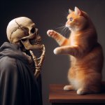 Badass skeleton examining house cat