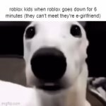 OMG WHY WHY NOOO | roblox kids when roblox goes down for 6 minutes (they can't meet they're e-girlfriend) | image tagged in gifs,cry | made w/ Imgflip video-to-gif maker
