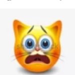 cat stock emoji scared | When bro says "She has a W gyatt" but we're in a daycare: | image tagged in cat stock emoji scared,memes,slang | made w/ Imgflip meme maker