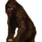 Florida Skunk Ape