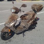 Cheetah Moped