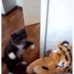 Cat Punch GIF Template