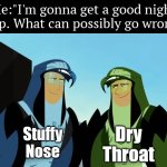 The chance to get a really good night sleep is sadly extreme low. | Me:"I'm gonna get a good night sleep. What can possibly go wrong?"; Stuffy Nose; Dry Throat | image tagged in memes,funny,sleep | made w/ Imgflip meme maker