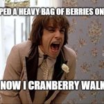 There's Something About Mary Zipper Scene | I DROPPED A HEAVY BAG OF BERRIES ON MY FOOT; MEMEs by Dan Campbell; NOW I CRANBERRY WALK | image tagged in there's something about mary zipper scene | made w/ Imgflip meme maker