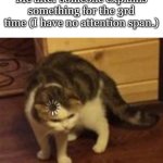 You need to pay attention | Me after someone explains something for the 3rd time (I have no attention span.) | image tagged in loading cat,funny,memes,meme,funny memes,relatable | made w/ Imgflip meme maker