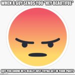 Hey beautiful | WHEN A GUY SENDS YOU "HEY BEAUTIFUL"; BUT YOU KNOW HE'S REALLY JUST TRYNA GET IN YOUR PANTS | image tagged in facebook angry emoji | made w/ Imgflip meme maker