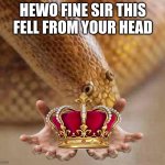 Arabian sand boa | HEWO FINE SIR THIS FELL FROM YOUR HEAD | image tagged in arabian sand boa | made w/ Imgflip meme maker