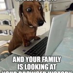your family is looking at your browser history | AFTER YOU DIE; AND YOUR FAMILY IS LOOKING AT YOUR BROWSER HISTORY | image tagged in dog,fun,internet history,family,surprise,browser history | made w/ Imgflip meme maker