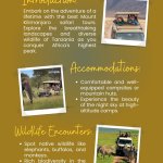 Best Mount Kilimanjaro Safari Tours