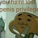 You have lost your penis privileges meme