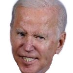 angry biden head