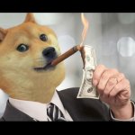 rich doge template