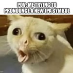 Pronounce Cat | POV: ME TRYING TO PRONOUNCE A NEW IPA SYMBOL | image tagged in pronounce cat | made w/ Imgflip meme maker