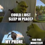 True | COULD I JUST SLEEP IN PEACE? MY PHONE; FOR FIVE MINUTES!!! | image tagged in could you not ___ for 5 minutes | made w/ Imgflip meme maker