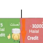 Halal Credit Score