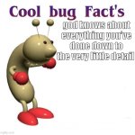 bugs | god knows about everything you’ve done down to the very little detail | image tagged in cool bug facts | made w/ Imgflip meme maker