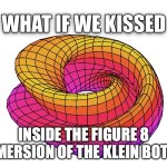 What If We Kissed | INSIDE THE FIGURE 8 IMMERSION OF THE KLEIN BOTTLE | image tagged in what if we kissed,math,calculus,mathematics | made w/ Imgflip meme maker
